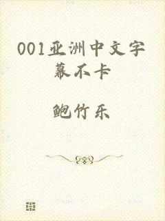 001亚洲中文字幕不卡