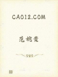 CAO12.COM