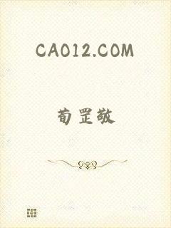 CAO12.COM