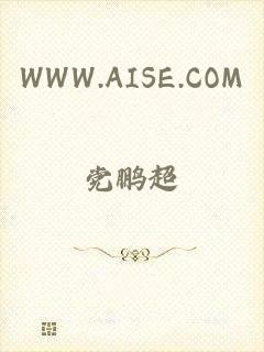 WWW.AISE.COM