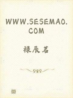 WWW.SESEMAO.COM