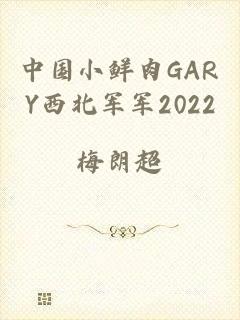 中国小鲜肉GARY西北军军2022