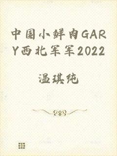 中国小鲜肉GARY西北军军2022