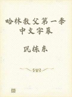 哈林教父第一季中文字幕