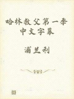 哈林教父第一季中文字幕