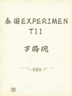泰国EXPERIMENT11