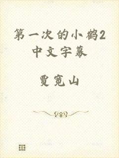 第一次的小鹤2中文字幕