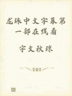 龙珠中文字幕第一部在线看