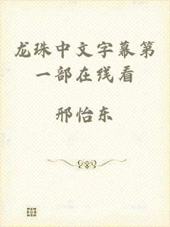 龙珠中文字幕第一部在线看